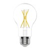 GE Classic A19 Daylight 60-Watt EQ Dimmable LED Light Fixture