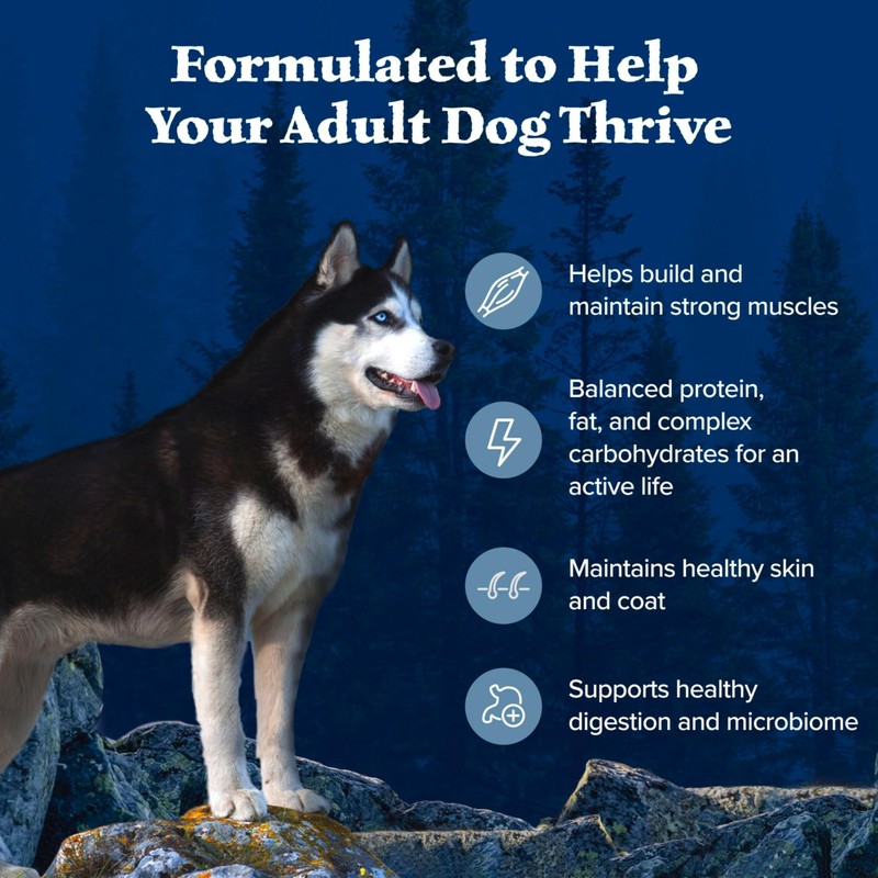 Blue Buffalo Wilderness Adult High-Protein Dry Dog Food with Real