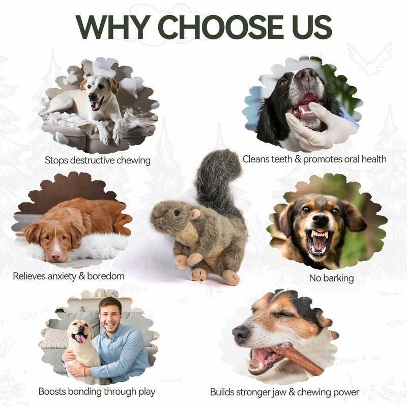 ALL FOR PAWS Interactive Dog Squirrel Plush Squeaky Toy -