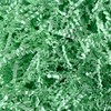 Light Green Crinkle Paper 2 LB Shredded Confetti Filler Grass