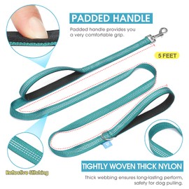 BAAPET Two Handle Dog Leash, Dual Soft Padded Handles with Traffic Control Handle Leash for Small Medium or Large Dogs (1.0'' x 5 FT, Teal)