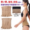 [m.D.P.] MEIDAI Lower Back Support, Lower Back Pain Belt, Carbon,