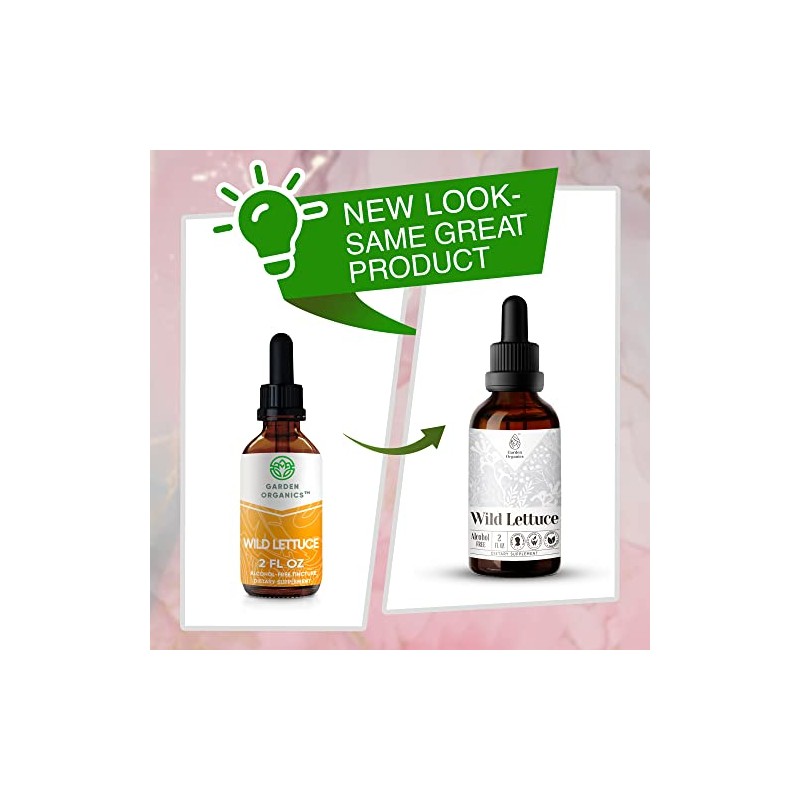 Wild Lettuce Alcohol-Free Natural Tincture Extract, Immune System Booster, Liquid