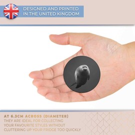 Destination Vinyl ltd Magnet for Refrigerator, Fridge BW - Cute Seal Baikal Lake Russia for Office, Cabinet and Whiteboard, Magnetic Stickers, 39442