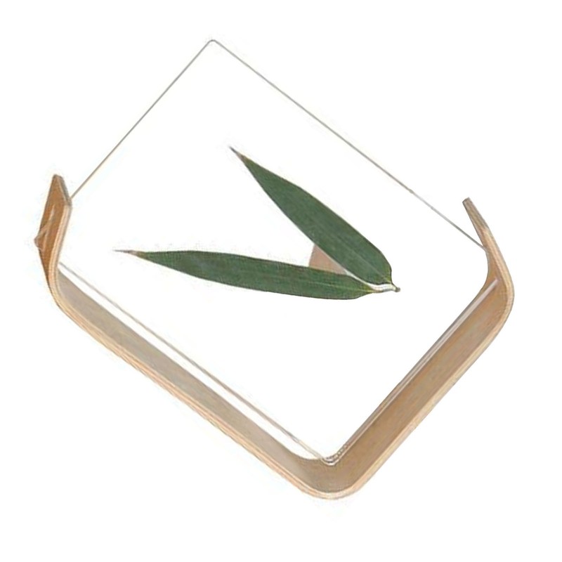 Desktop Plant Specimen Frame Wooden Acrylic Simple Modern Photo Frame