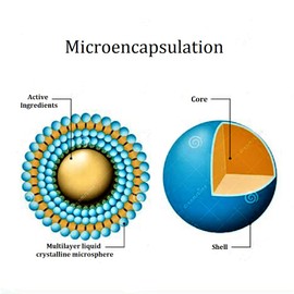 Friendly Fighters Pro® Probiotic | 1 Month Supply | Men, Women, and Children | Digestive and Immune Health | Micro-Encapsulated for Guaranteed Delivery to The Intestines