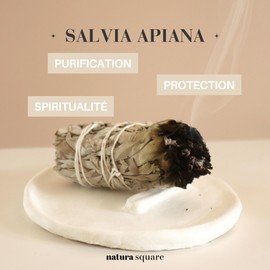 Natura Square - Fagot XL White Sage, Salvia Apiana from California for Burning - Cleansing Herbs - Protection, Spirituality - Phytosanitary - Natural Frankincense, Meditation, Fumigation