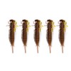 FISHIN ADDICT Dragonfly Larva Larve nano bug soft bait 50mm