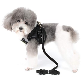 Zunea Small Dog Harness and Lead Set No Pull Puppy Vest Harnesses Adjustable Reflective Soft Mesh Step-in Pet Cat Harness Escape Proof for Walking, Bright Colors for Dogs Girl Boy Black S