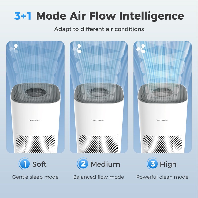 Air Purifier for Home, H13 True HEPA Filter With Activated