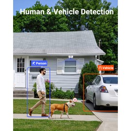 ANNKE C800 4K IP Camera, H.265+ 8MP Dome PoE Camera, AI Human Vehicle Detection, IK10 Explosion-Proof & IP67 Weatherproof Outdoor Security Camera w/ Audio, 100 FT EXIR 2.0 Night Vision (Not PTZ)