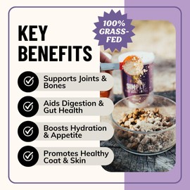 Fido's Grass-Fed Beef Bone Broth for Dogs 7oz with 94% Protein - Picky Eaters Human Grade Bone Broth Powder for Dogs - Made in USA - No Preservatives - Supports Joints + Gut Health - 60 Scoops