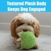 SPOT Gigglers Hedgehog Dog Toy with Giggle Sound | Textured,