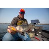 Northland Fishing Tackle Gum-Ball Jig for Panfish, Walleye, Bass, and