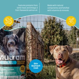 Nutram I20 Ideal Solution Support Skin, Coat & Stomach Dry Dog Food, Lamb & Brown Rice Recipe, Made with Holistic Nutrition for Sensitive Digestion & Shiny Coat (25 Pounds)