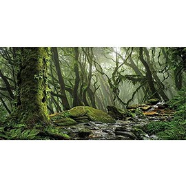 AWERT Foggy Forest Terrarium Background Stream Green Huge Tree Reptile Habitat Background Tropical Rainforest Aquarium Background 72x24 inches Durable Polyester Background