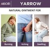 Absolei Hemorrhoids Ointment, Natural White Yarrow Ointment for Burning, Itching