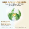 Shampoo Equilibrante Pantene Pro-V Miracles Equilibrio Raíz y Puntas 300