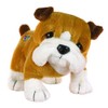 Webkinz Bulldog