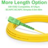 FLYPROFiber OS2 SC/APC to SC/APC Fiber Optic Cable 1M/3ft, Single