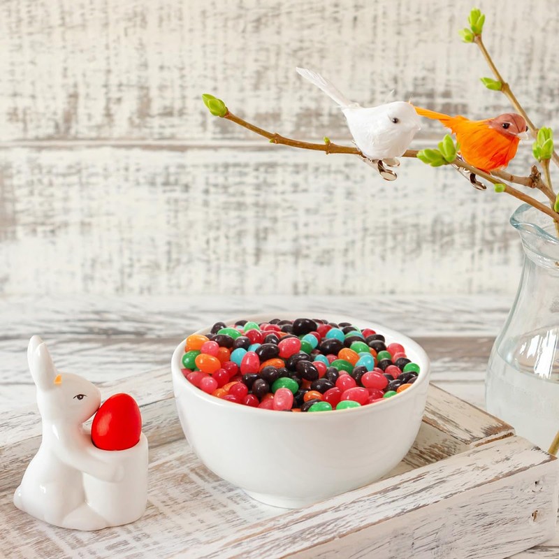 Classic Fruit Flavored Jelly Beans Bulk Candy - 2 Pound