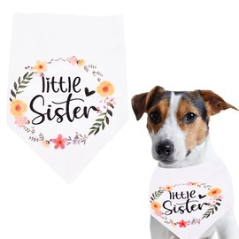 Little Sister Dog Bandana for Small Medium Dog Bandanas Pregnancy Announcement Little Sister Dog Accessories Pet Scarf for Dog Owner Lovers Gifts for Women Men Dog Gender Reveal Bandanas