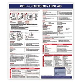 Emergency First Aid Poster