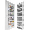HOMELUX THEORY 1 PC Heavy Duty Over the Door Organizer