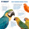 Prevue Pet Products Forage & Engage Raincatcher Bird Toy 62617