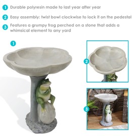 Sunnydaze Brooding Frog on a Stone 22" H Polyresin Outdoor Bird Bath for Garden