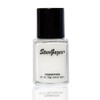 Star Gazer Liquid Foundation Makeup and Pressed Powder (White)