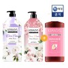 Kerasis [총 4L구성] 케라시스 디어플로라 샴푸1.5L 택 2입 + 트리트먼트