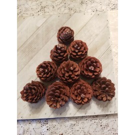 Unbranded 10 PINE CONES FOR CRAFTS 3" 5" NATURAL REAL HOLIDAY DECORATIONS SCHOOL PROJECTS