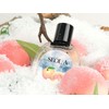SeolAㅣWinter peaches warmly covered by the first snowㅣCool sweet peaches