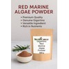 NutriCargo Gigartina Red Marine Algae Powder 500g – Seaweed Powder