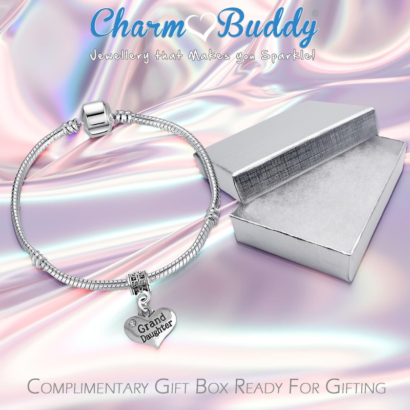 Granddaughter Silver Starter Charm Bracelet with Pendant and Gift Box