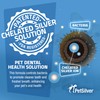 PetSilver Teeth & Gum Spray - Dog Dental & Teeth