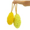 Minkissy 3 Pack Bath Shower Sponge Puff Honeycomb Brush Sponge