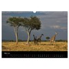 Giraffes - Lovely Giants of the African Savannah (Wall Calendar