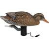 Avery GHG Finisher Swimmer Mallard Hen Motion Decoy