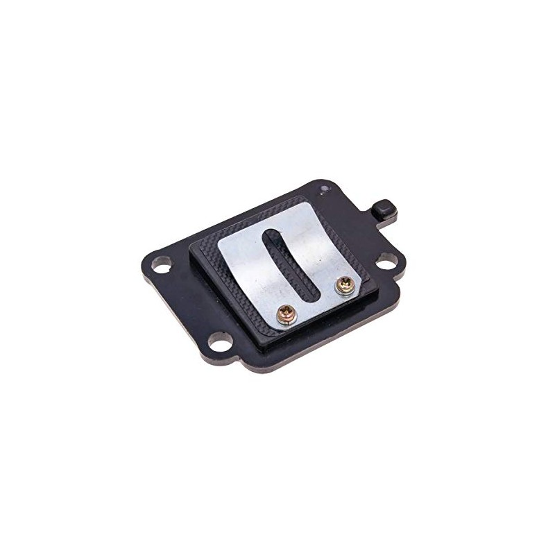 Top Performances reed valve assy racing for Minarelli vertical