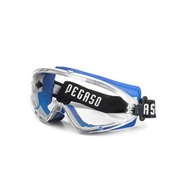 Pegaso 22 Protective Glasses, Blue and Grey, L