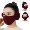 TecHong Unisex Winter Warm Windproof Mask with Fluffy Ear Covers