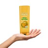 Garnier Fructis Triple Nutrition Conditioner, Dry to Very Dry Hair,