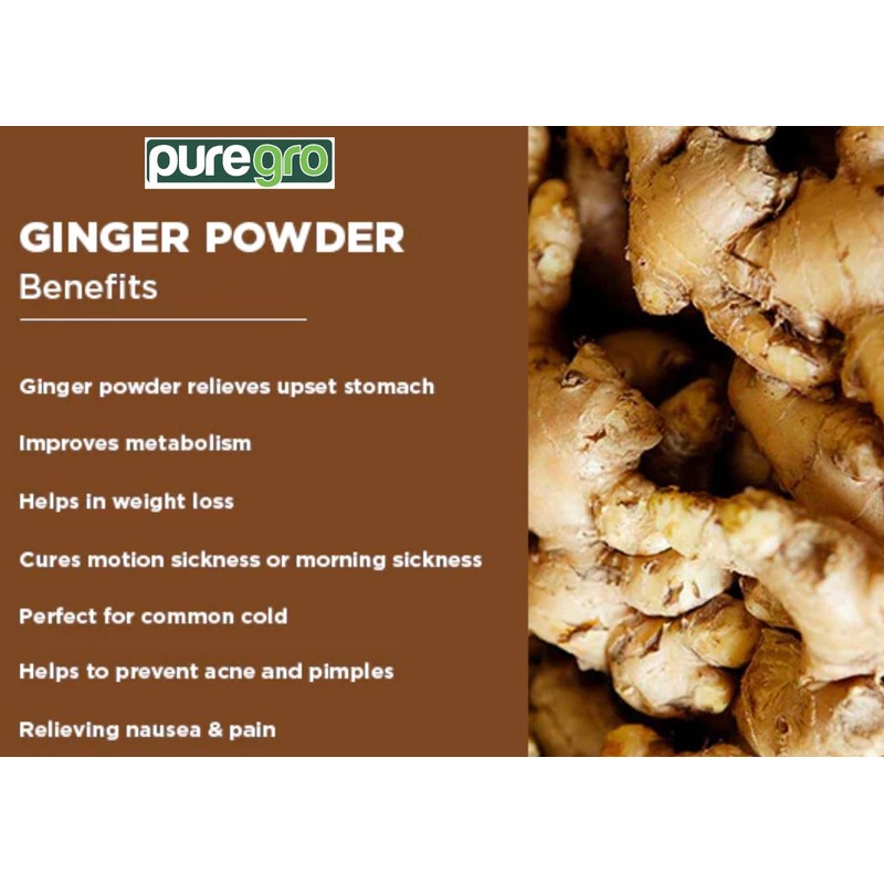 Puregro Ginger Powder 100g | PACK OF 1 | Ground