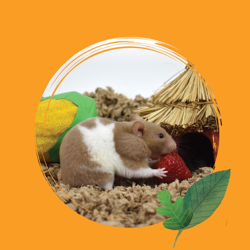 CritterCare Natural Paper Small Pet Animal Bedding - Odor Control,