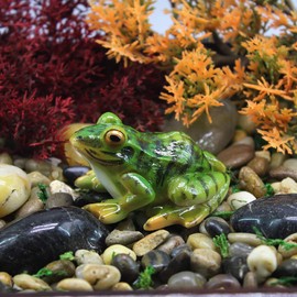 MAOMIA 2pcs Miniature Frog Figurine, Fish Tank Decoration Fairy Garden Turtle Statue Landscape Indoor Outdoor Decor Ornament
