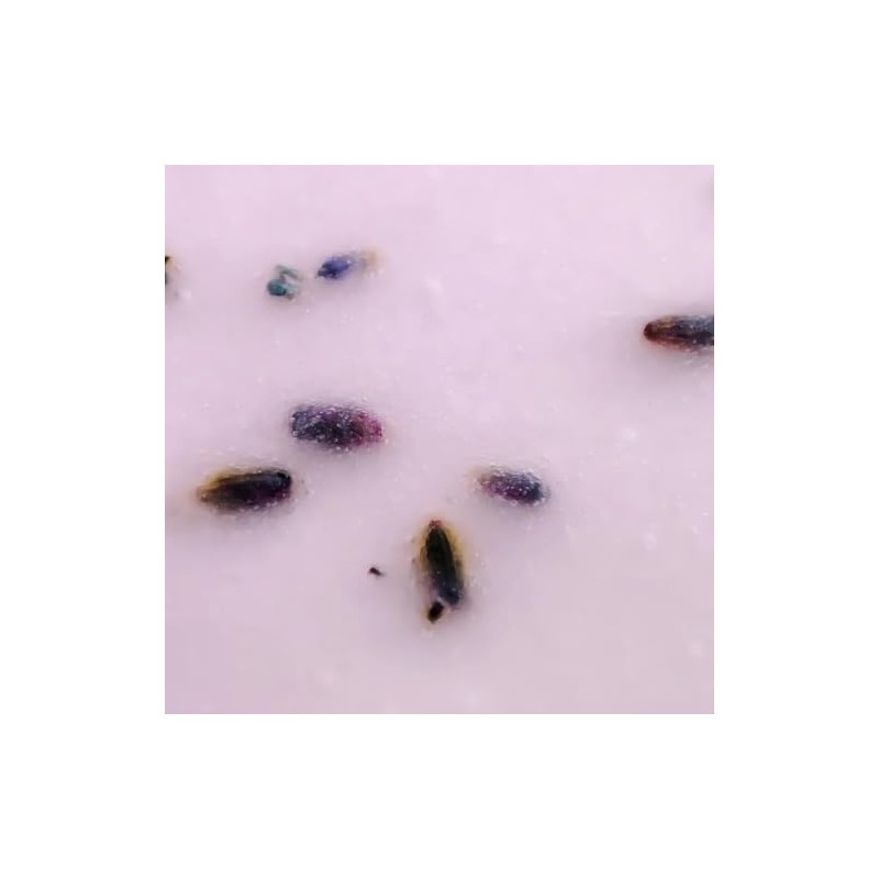 Nuestra Tierra Cosmética Kit Despigmentante para Entrepiernas, Axilas, Cuello, Codos