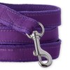 Pet Passion Recycled Ribbon Dog Leash 7 Ft. for All