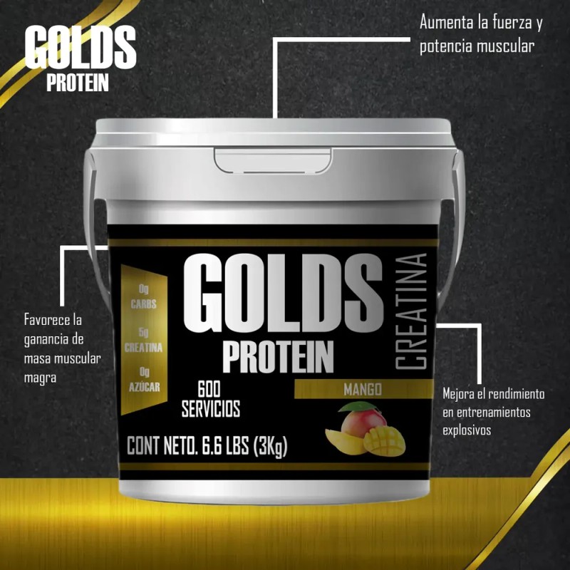 Creatina Monohidratada 3kg En Polvo Golds Protein 600servis